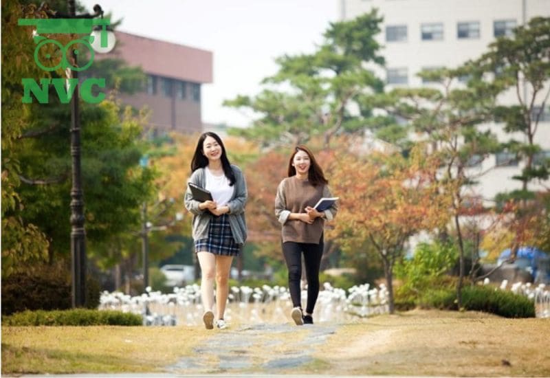 Du học nghề tại Hàn Quốc là chương trình giảng dạy kết hợp lý thuyết và thực hành