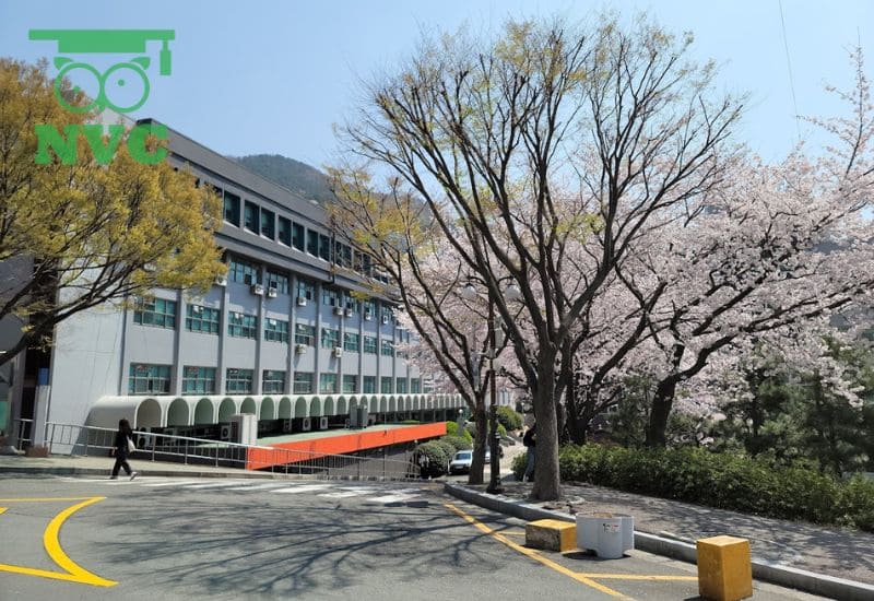 Trường Đại học DongA Busan sở hữu khu campus hiện đại bậc nhất tại thành phố Busan