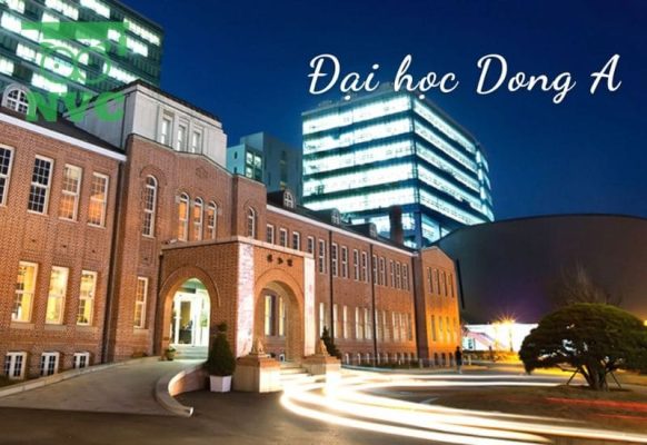REVIEW tất tần tật Trường Đại học DongA Busan Hàn Quốc