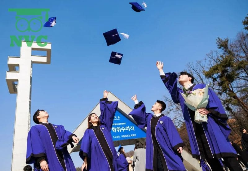 Chương trình đào tạo hệ Đại học trường DongA Busan