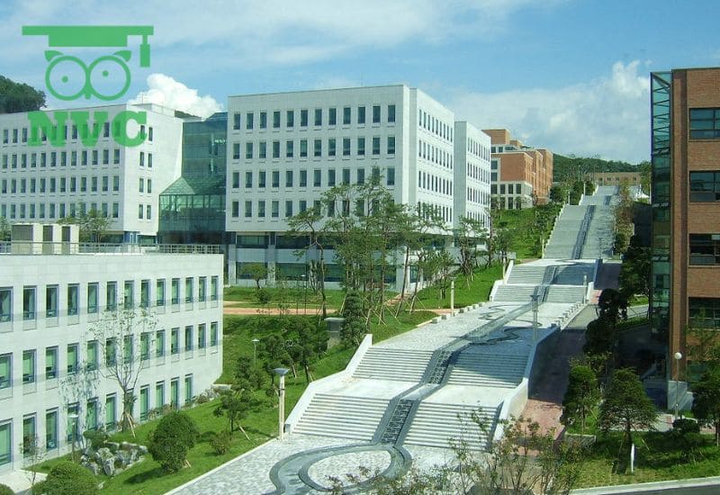 Khu KTX khang trang, hiện đại bậc nhật dành cho sinh viên, du học sinh quốc tế tại Đại học Sunlin
